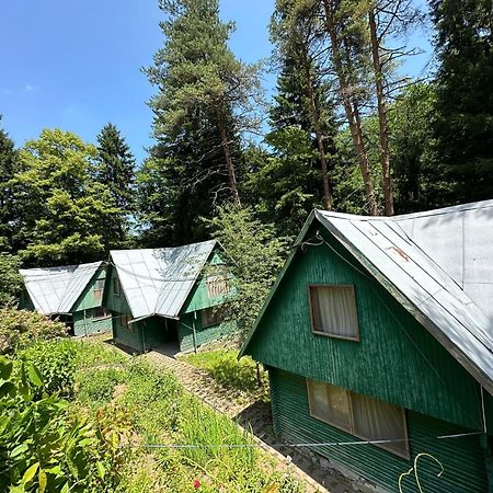 Nunisi Forest Hotel & Spa エクステリア 写真