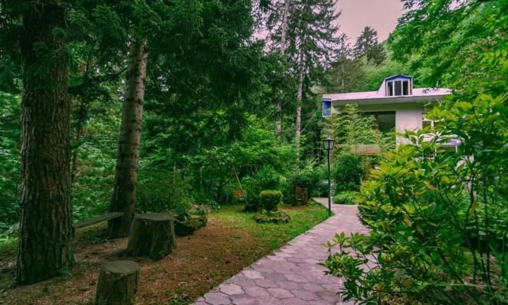 Nunisi Forest Hotel & Spa エクステリア 写真