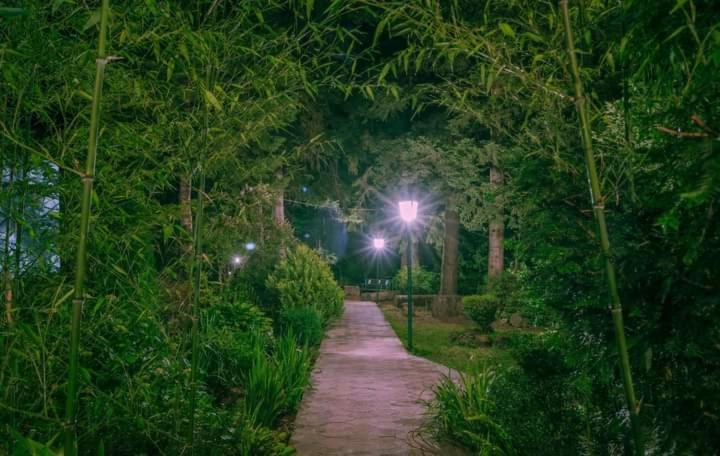 Nunisi Forest Hotel & Spa エクステリア 写真