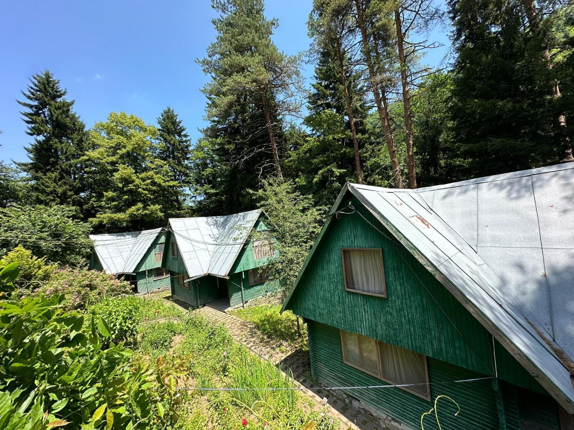Nunisi Forest Hotel & Spa エクステリア 写真