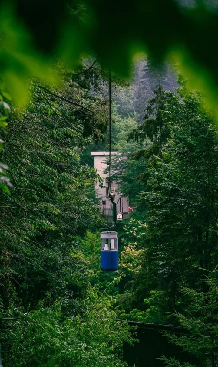 Nunisi Forest Hotel & Spa エクステリア 写真